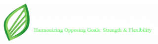 https://www.lindenphotonics.com/wp-content/uploads/2025/08/linden-photonics-inc_logo-320x90.png