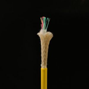 https://www.lindenphotonics.com/wp-content/uploads/2026/06/LINDEN-SPE-7107-4-Hybrid-049-Buoyant-Hybrid-Cable-300x300.jpeg