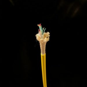 https://www.lindenphotonics.com/wp-content/uploads/2026/06/LINDEN-SPE-7107-6-Hybrid-049-Buoyant-Hybrid-Cable-300x300.jpeg