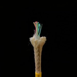 https://www.lindenphotonics.com/wp-content/uploads/2026/06/LINDEN-SPE-7107-7-Hybrid-049-Buoyant-Hybrid-Cable-300x300.jpeg